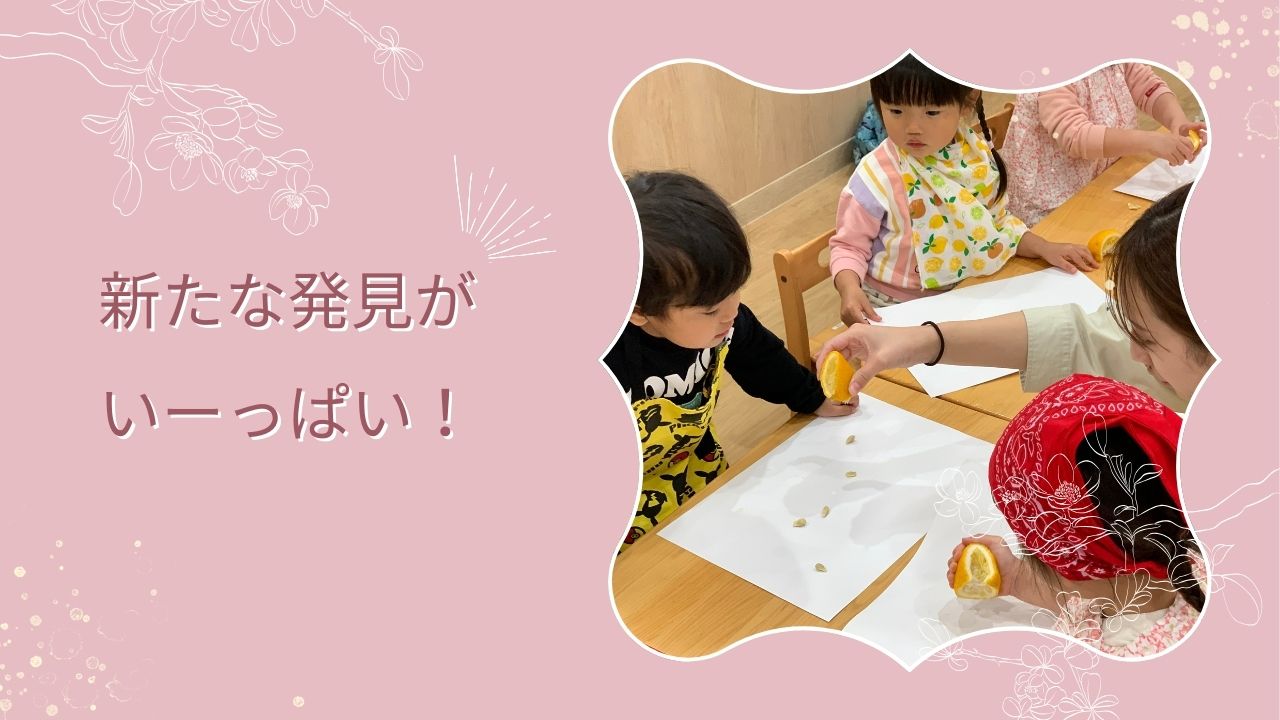 新たな発見がいーっぱい!