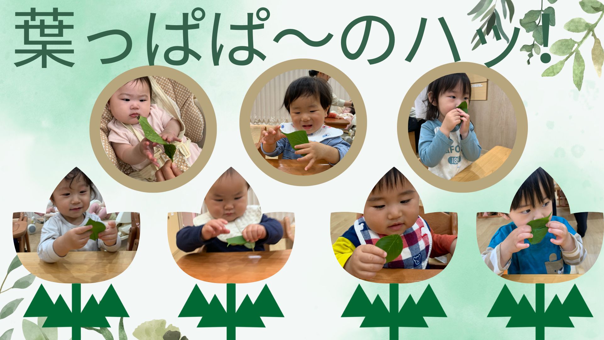 はっぱっぱのハーッ ☆