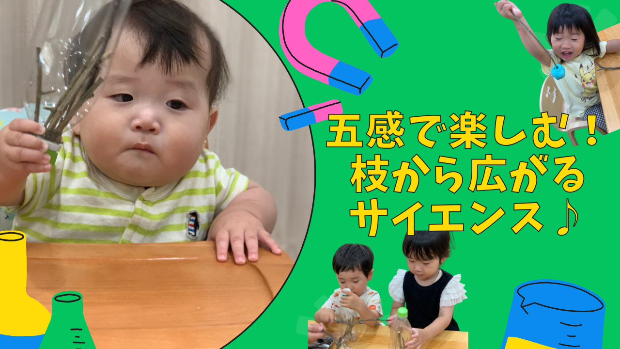 五感で楽しむ！枝から広がるサイエンス♪
