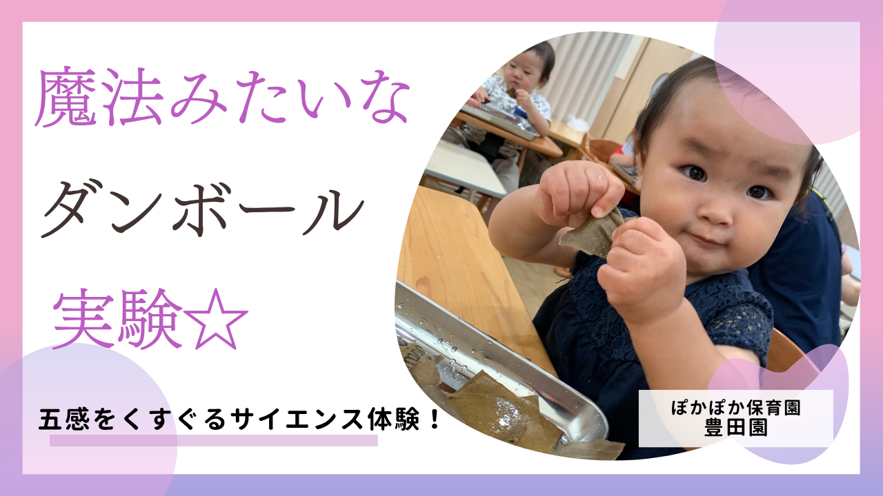 魔法みたいな段ボール実験☆五感をくすぐるサイエンス体験！