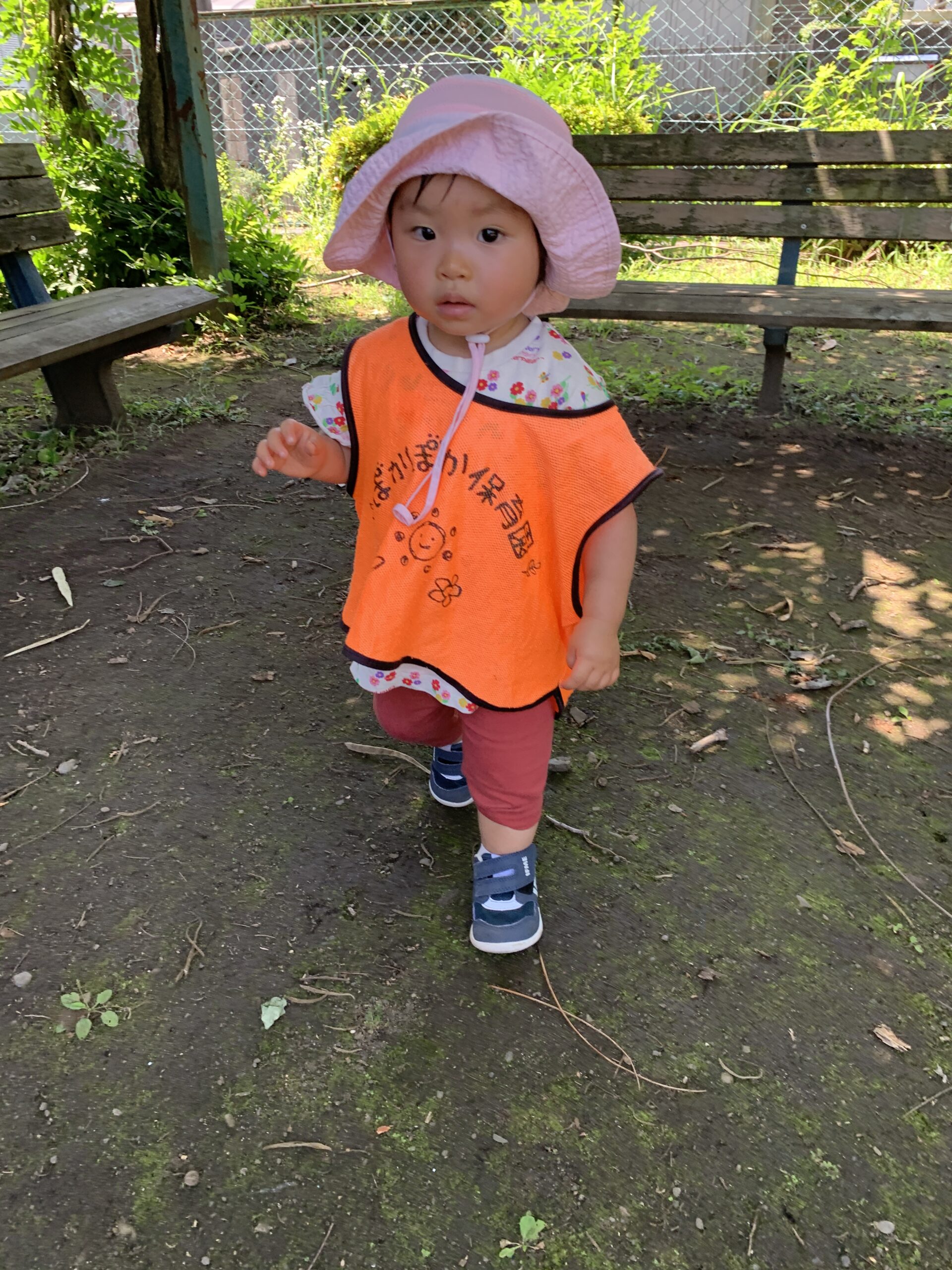 風と太陽のなかで育つ心♡小さな手が届けたやさしさ