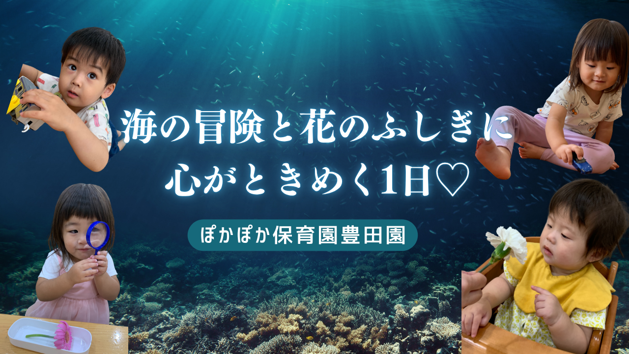 海の冒険と花のふしぎに心がときめく1日♡