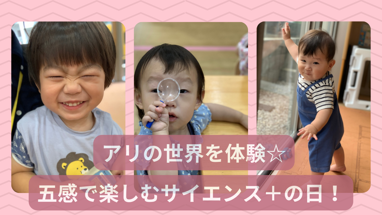 アリの世界を体験☆五感で楽しむサイエンス＋の日！