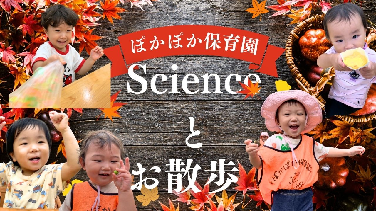 ビニール袋と紙袋の不思議☆サイエンスと秋のお散歩で発見いっぱい☆