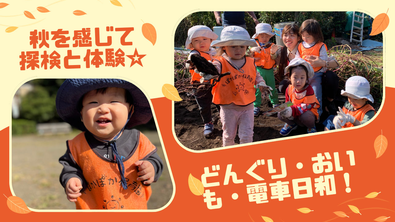 秋を感じて探検と体験☆どんぐり・おいも・電車日和!