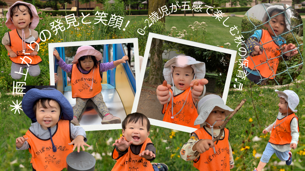 雨上がりの発見と笑顔!0-2歳児が五感で楽しむ秋の保育♬
