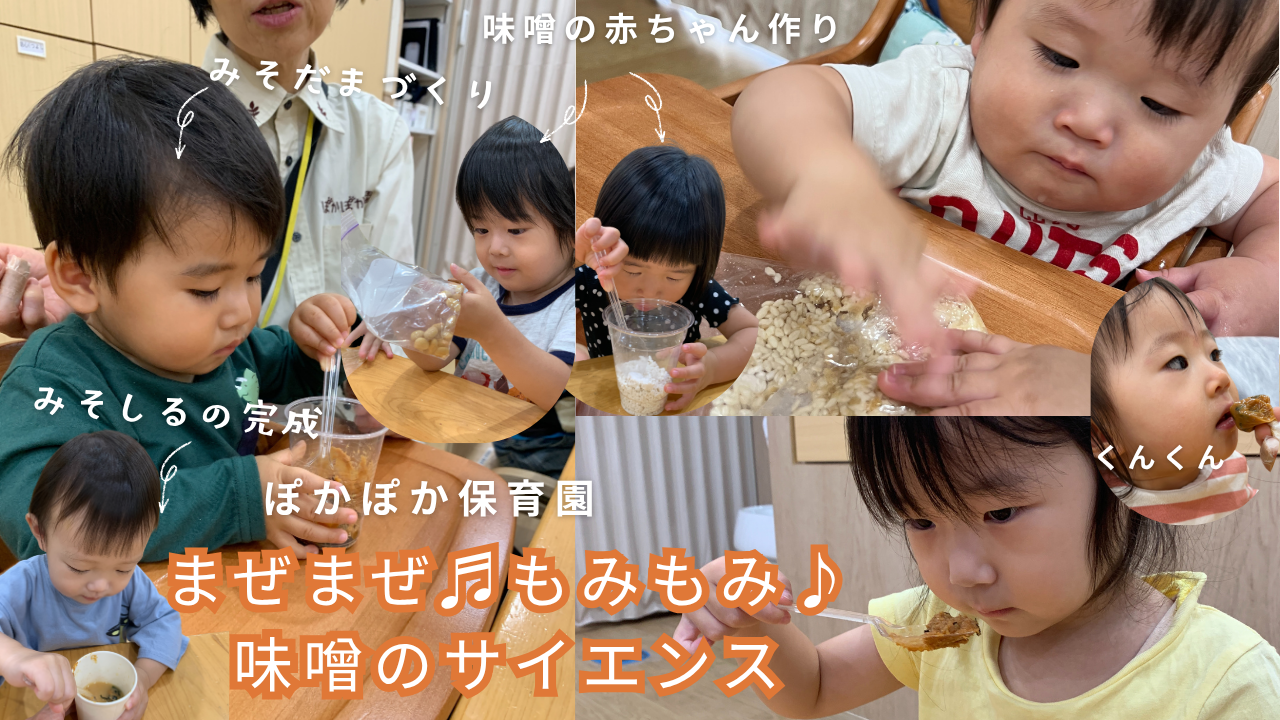 まぜまぜ♪モミモミ♪味噌で感じるサイエンスの日