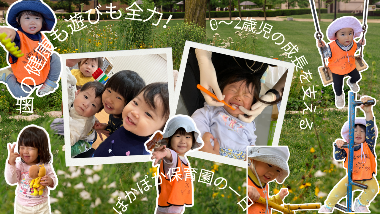 歯の健康も遊びも全力!0~2歳児の成長を支えるぽかぽか保育園の一日♬