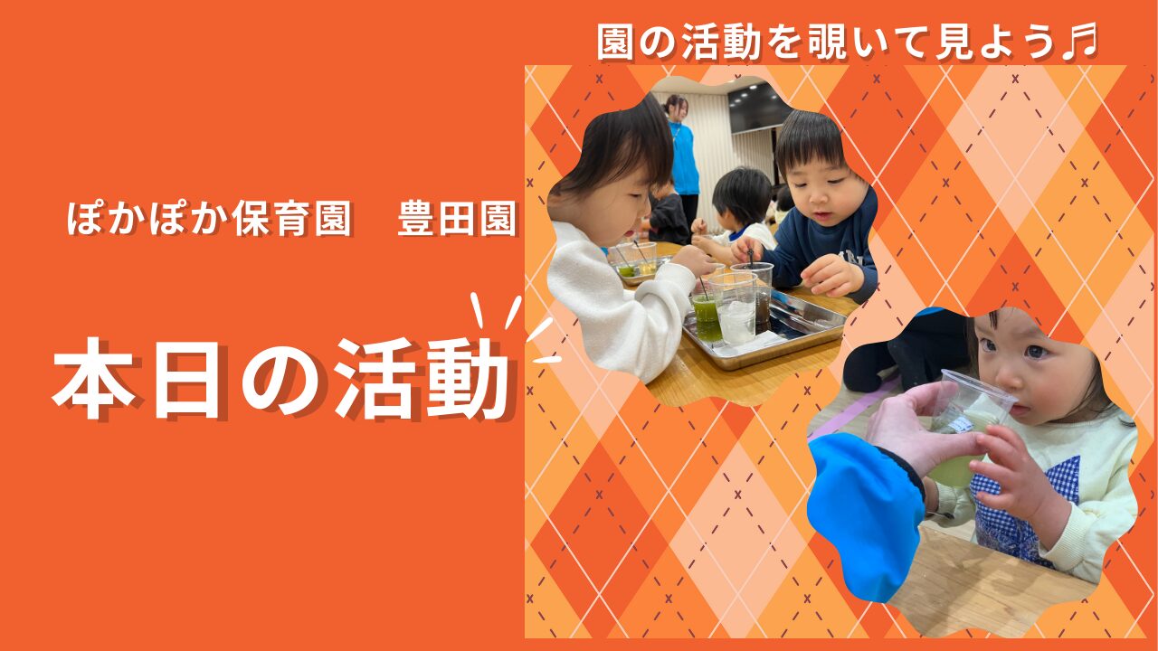 驚きと発見に満ちたサイエンス＋！公園と体育遊びで心と体を育む一日