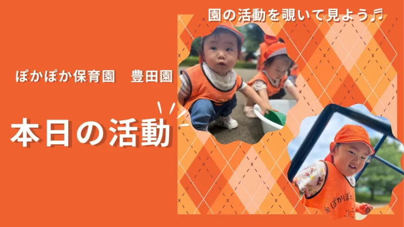 水遊びと畑体験で五感をフル活用!知的好奇心を育む夏の日