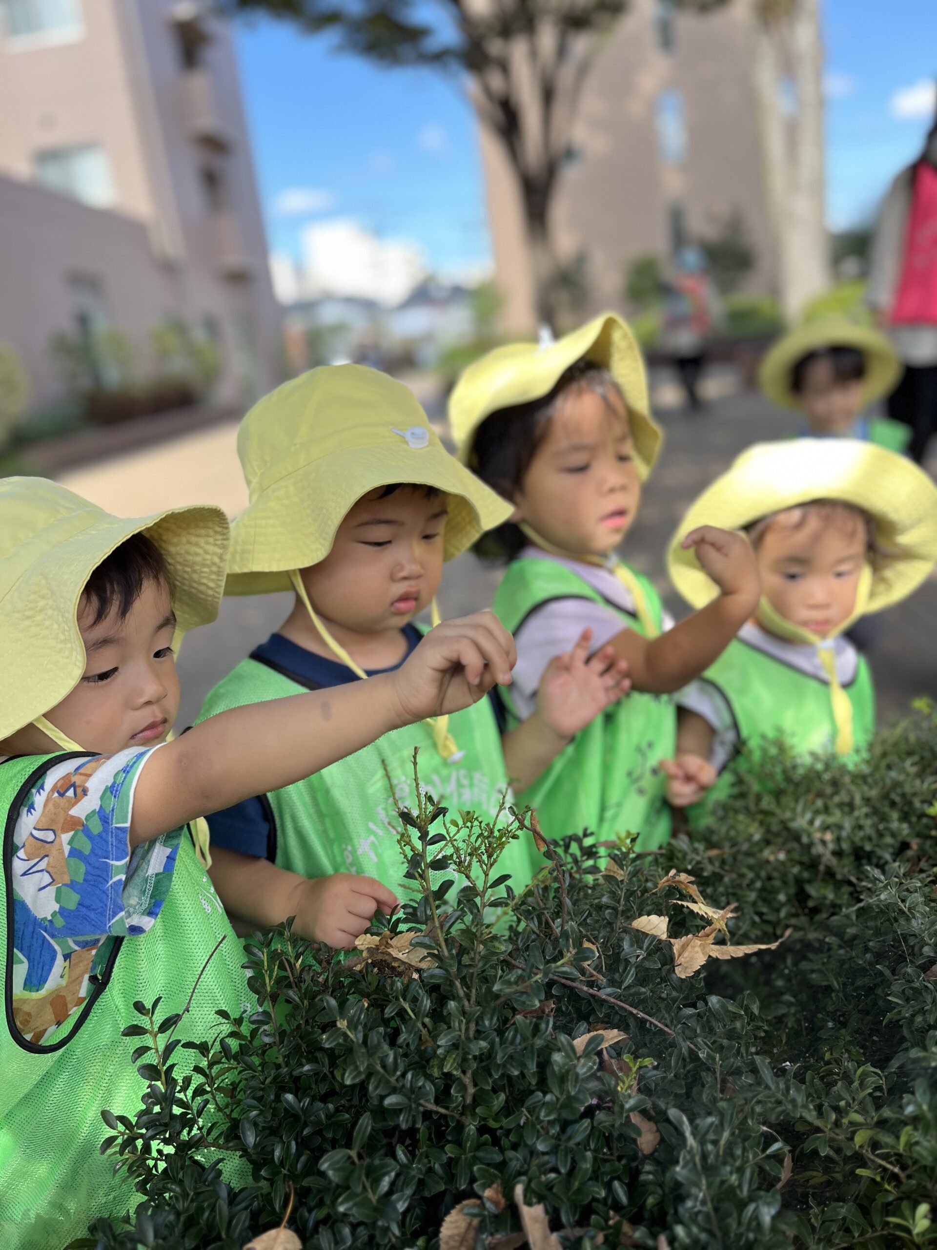 楽しい秋！　ぽかぽか保育園多摩平園