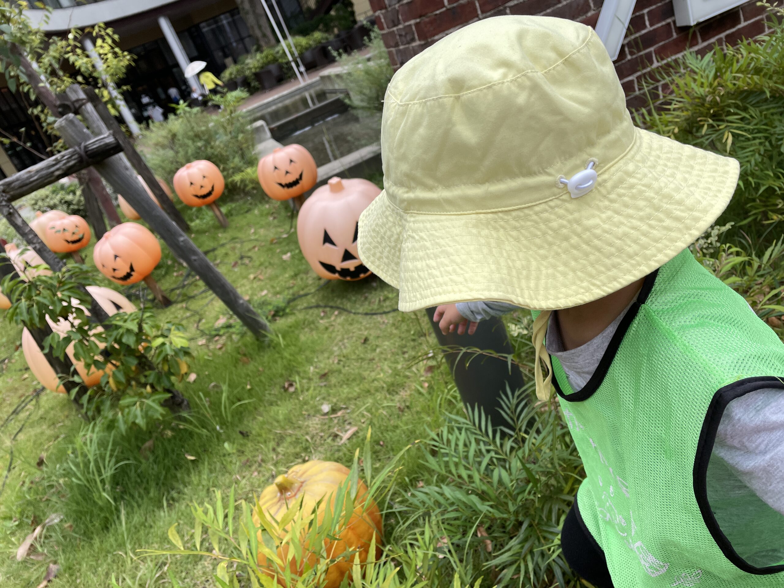 秋さがし♪　ぽかぽか保育園多摩平園